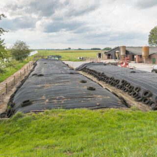 The,Barnyard,Of,A,Dutch,Farm,With,Grass,Silage,Covered