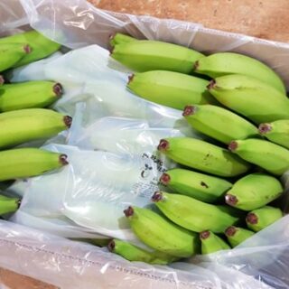 PerfoTec Linerbag in bananen