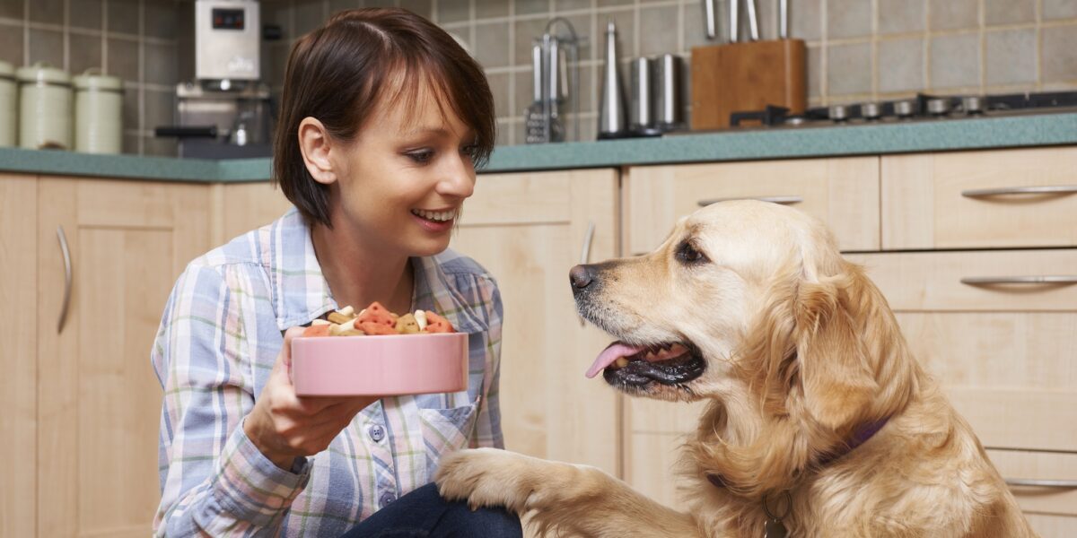petfood diervoerder shutterstock_342670046 klein