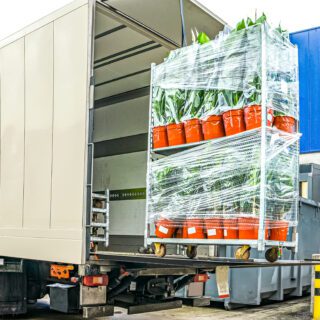 Truck,Delivered,Flowers,In,Pots,,Transport,Logistics,In,Europe