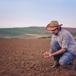 potting soil powderpack circuflex fertilizers shutterstock_282828407 klein