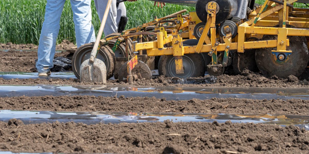 trekker leggen mulchfolie Oerlemans Plastics