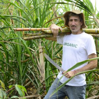 Boer die rietsuiker op zijn schouder draagt biobased PE (natuur) OPI ss 214996531