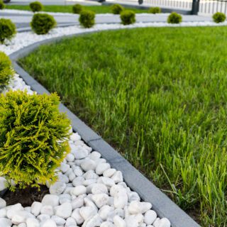 Tuin met stenen en gras