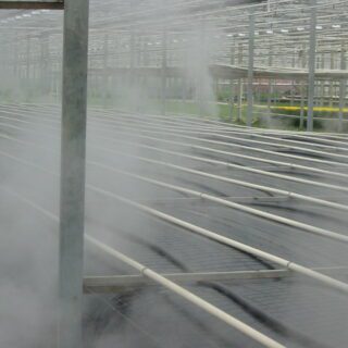 Stoomfolie tuinbouw horticulture Oerlemans Plastics