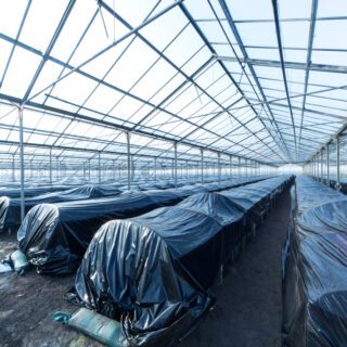 Verduisteringsfolie kas horticulture Oerlemans Plastics