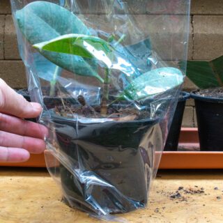 Potplantzakken