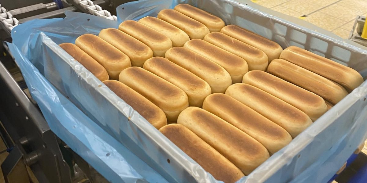 Kratzak 1