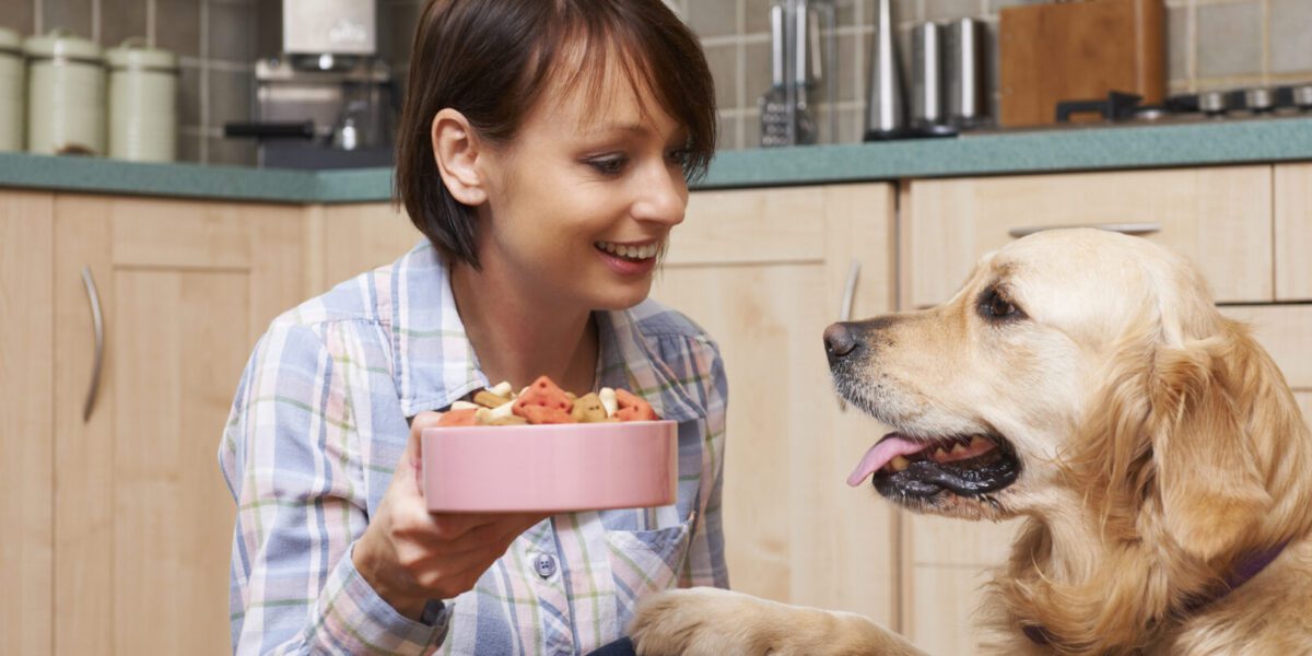 hond met baasje die eten krijgt petfood diervoerder (petfood) ss 342670046