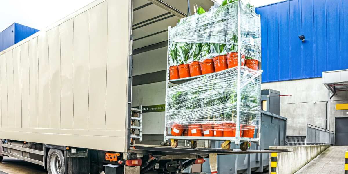 Truck,Delivered,Flowers,In,Pots,,Transport,Logistics,In,Europe