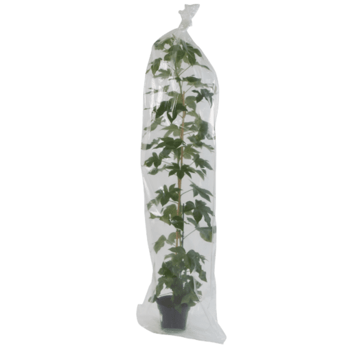 potplantzakken vrijstaand
