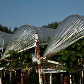 Lamination film